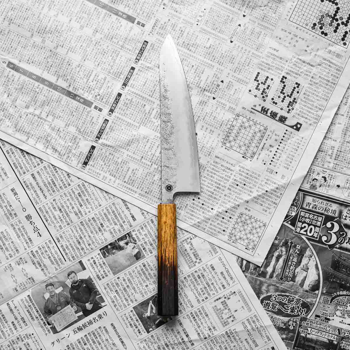 Hajimaru Ginsan Nashiji Gyuto 210mm - Burnt Oak