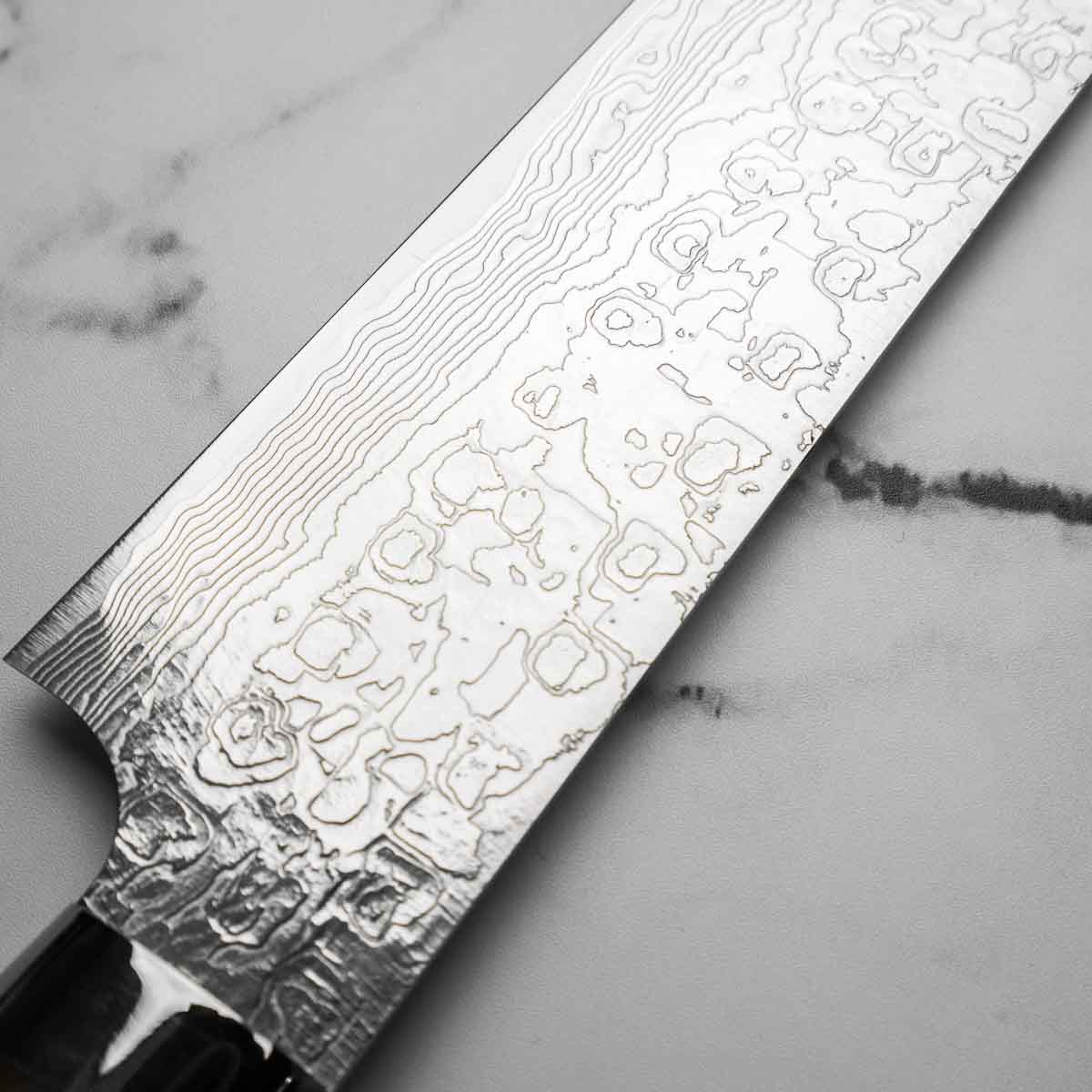 Takeshi Saji R2/SG2 Damascus Sakimaru Sujihiki 240mm Silver BCW