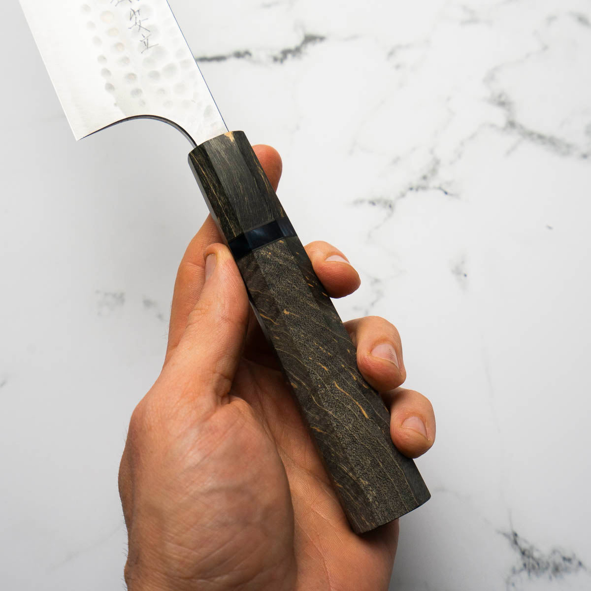 Katsushige Anryu Blue Super Gyuto 210mm