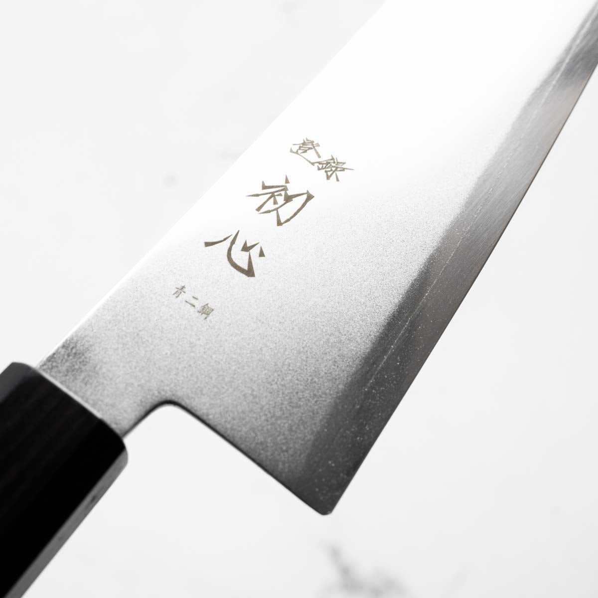 Hatsukokoro Kaijin Blue 2 Stainless Clad Kiritsuke Gyuto 210mm - Ebony