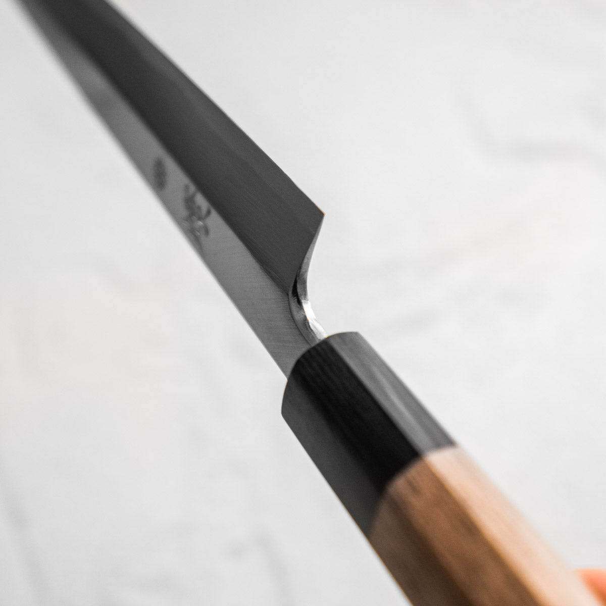 Sakai Kikumori Tomoshibi Yanagiba 240mm - handle detail
