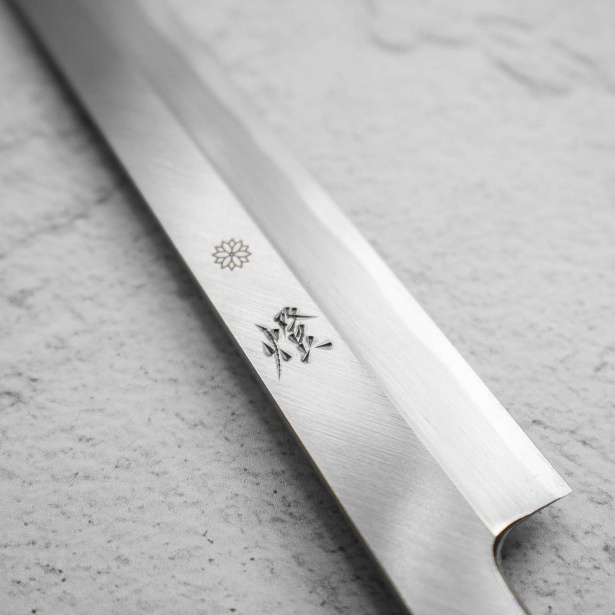 Sakai Kikumori Tomoshibi Yanagiba 270mm