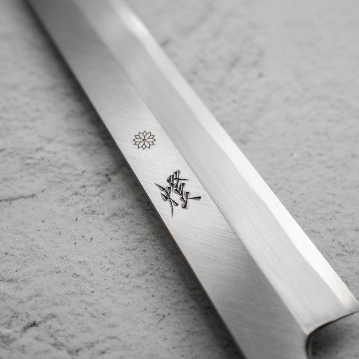 Sakai Kikumori Tomoshibi Yanagiba 300mm