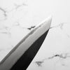 Muneishi Blue 2 Gyuto 240mm