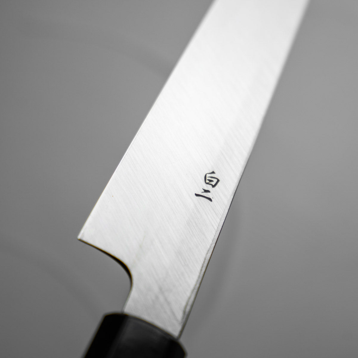Sakai Kikumori Shironiko Yanagiba 270mm w/Saya