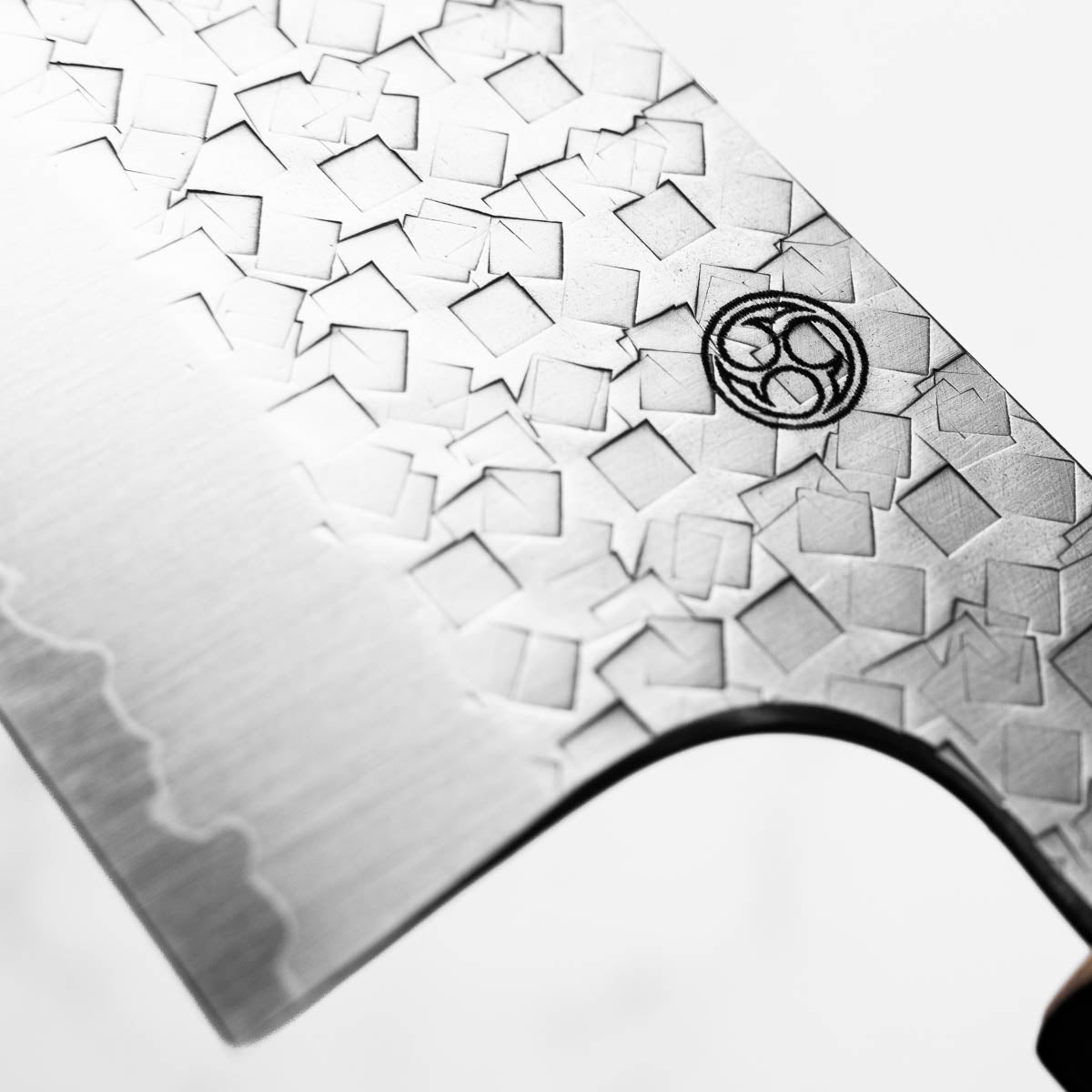 Tsunehisa Arare SG2 Gyuto 210mm