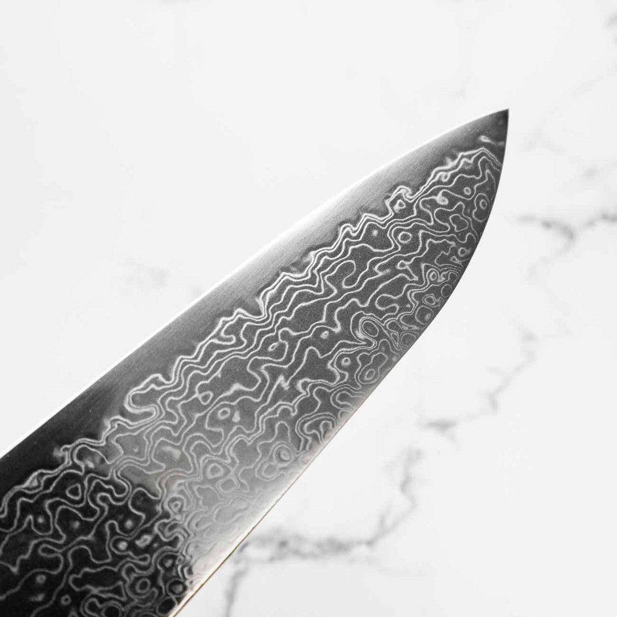 Hatsukokoro Ryuhyo SG2 Damascus Gyuto 240mm - Dark Maple