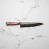 Takamura Chromax Gyuto 210mm