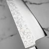 Takamura Chromax Gyuto 210mm