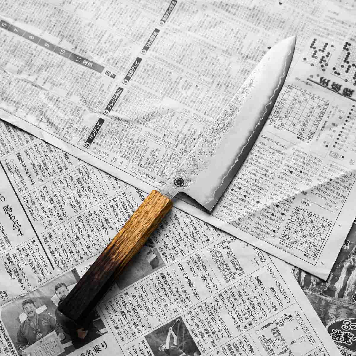 Hajimaru Ginsan Nashiji Gyuto 210mm - Burnt Oak