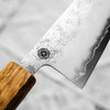 Hajimaru Ginsan Nashiji Gyuto 210mm - Burnt Oak