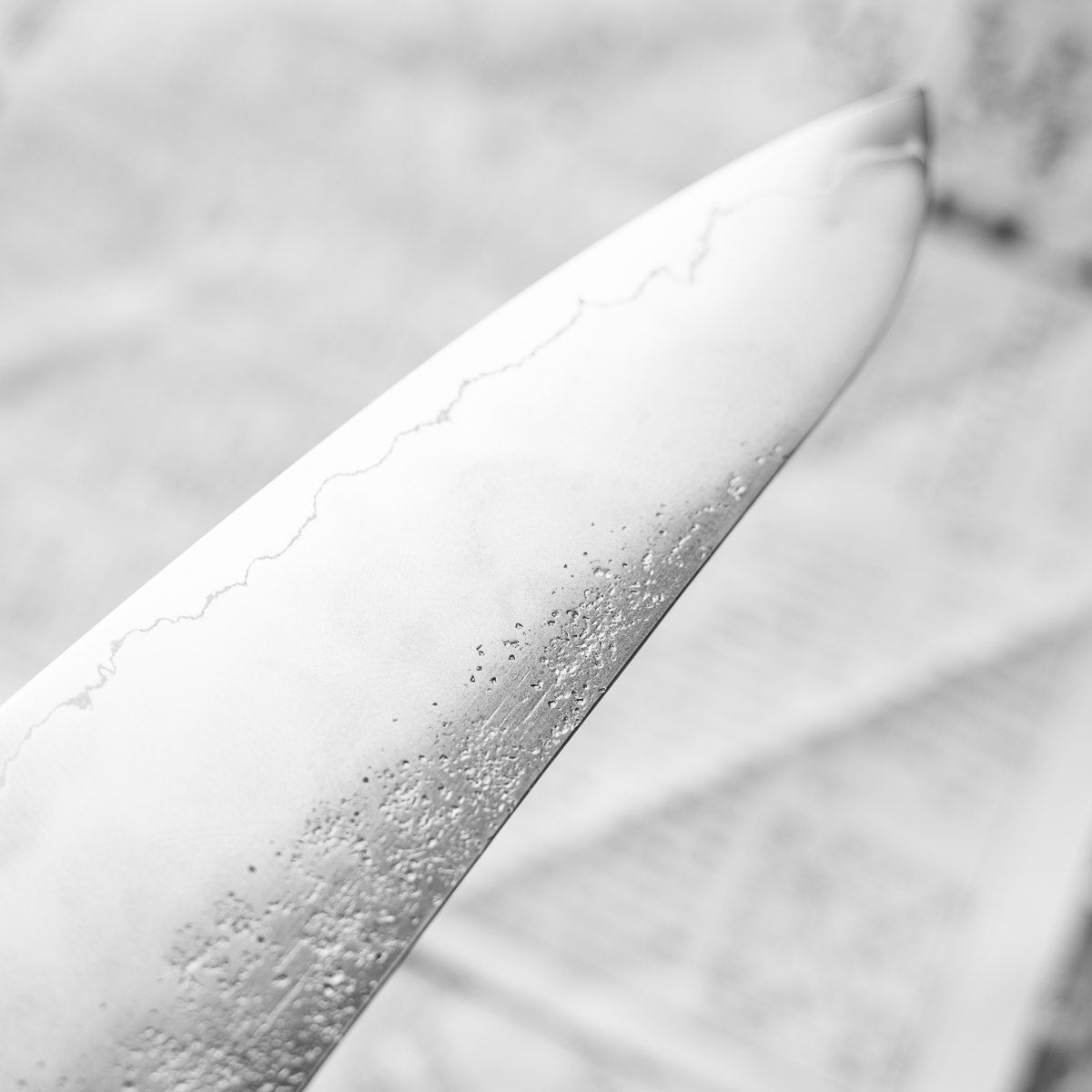 Hajimaru Ginsan Nashiji Gyuto 210mm - Burnt Oak