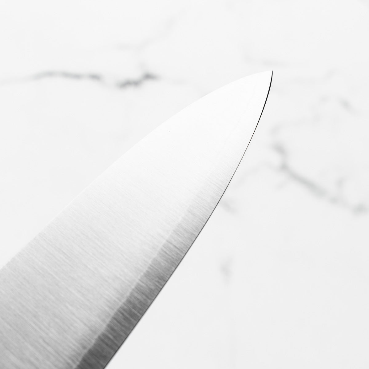 Tadafusa x Seido SLD Gyuto 210mm (Hocho Kobo V2)