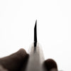 Hatsukokoro Shirasagi White 2 Deba 165mm
