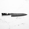 Teruyasu Fujiwara Maboroshi Gyuto 240mm