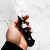 Teruyasu Fujiwara Maboroshi Gyuto 240mm
