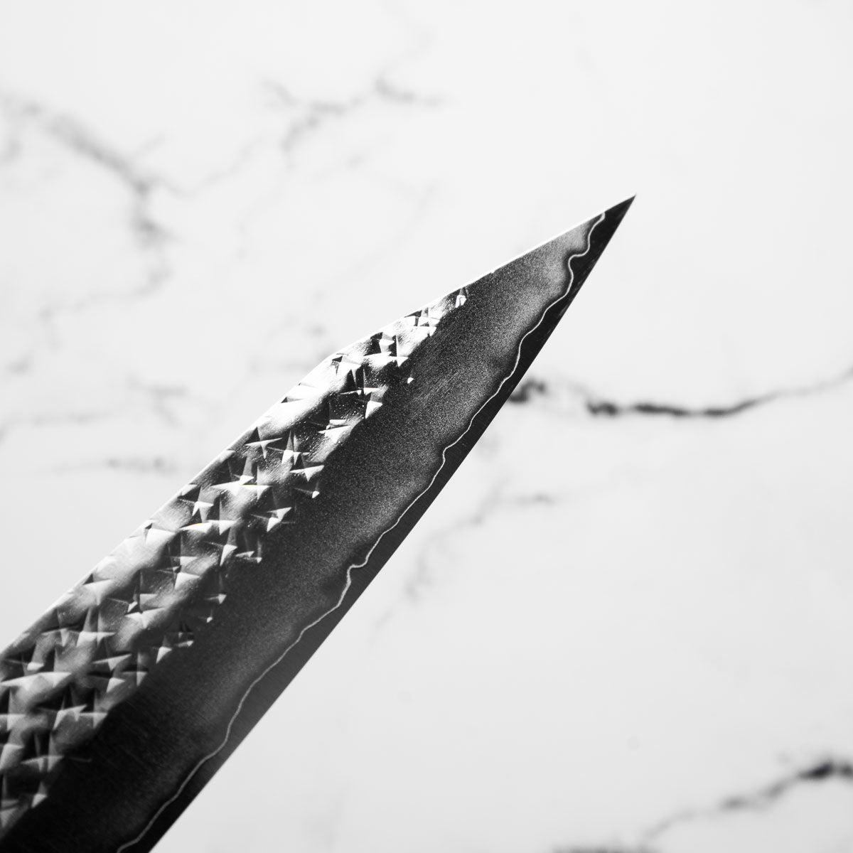 Yu Kurosaki SG2 Senko Sujihiki 240mm