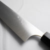 Shibata Koutetsu SG2 Gyuto/Kiritsuke 210mm - Rosewood