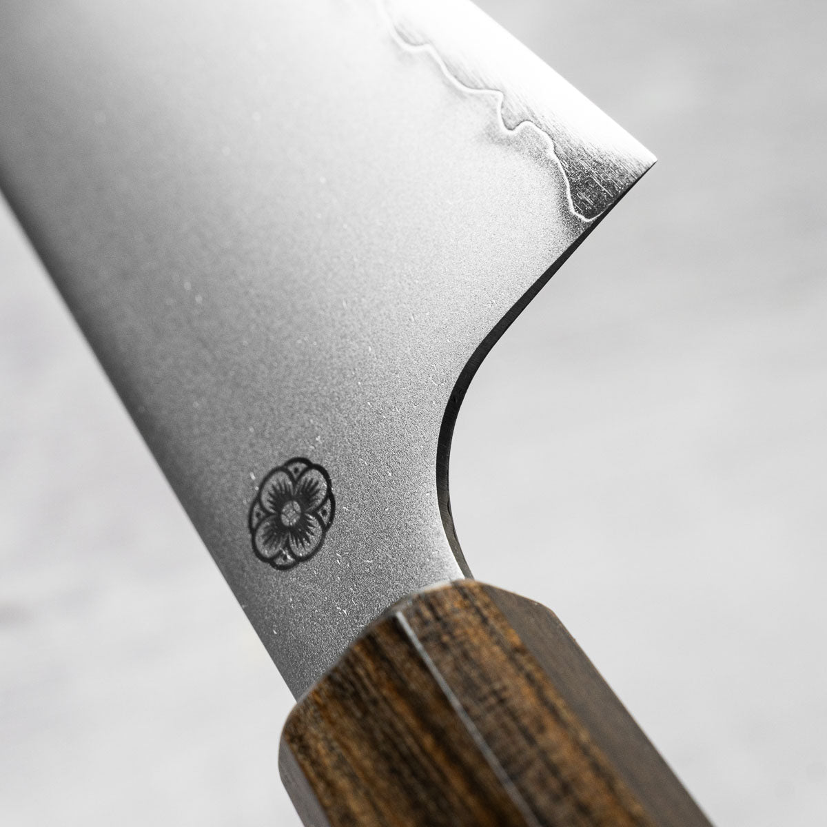 Hajimaru Chromax Gyuto 210mm - Mono Bubinga