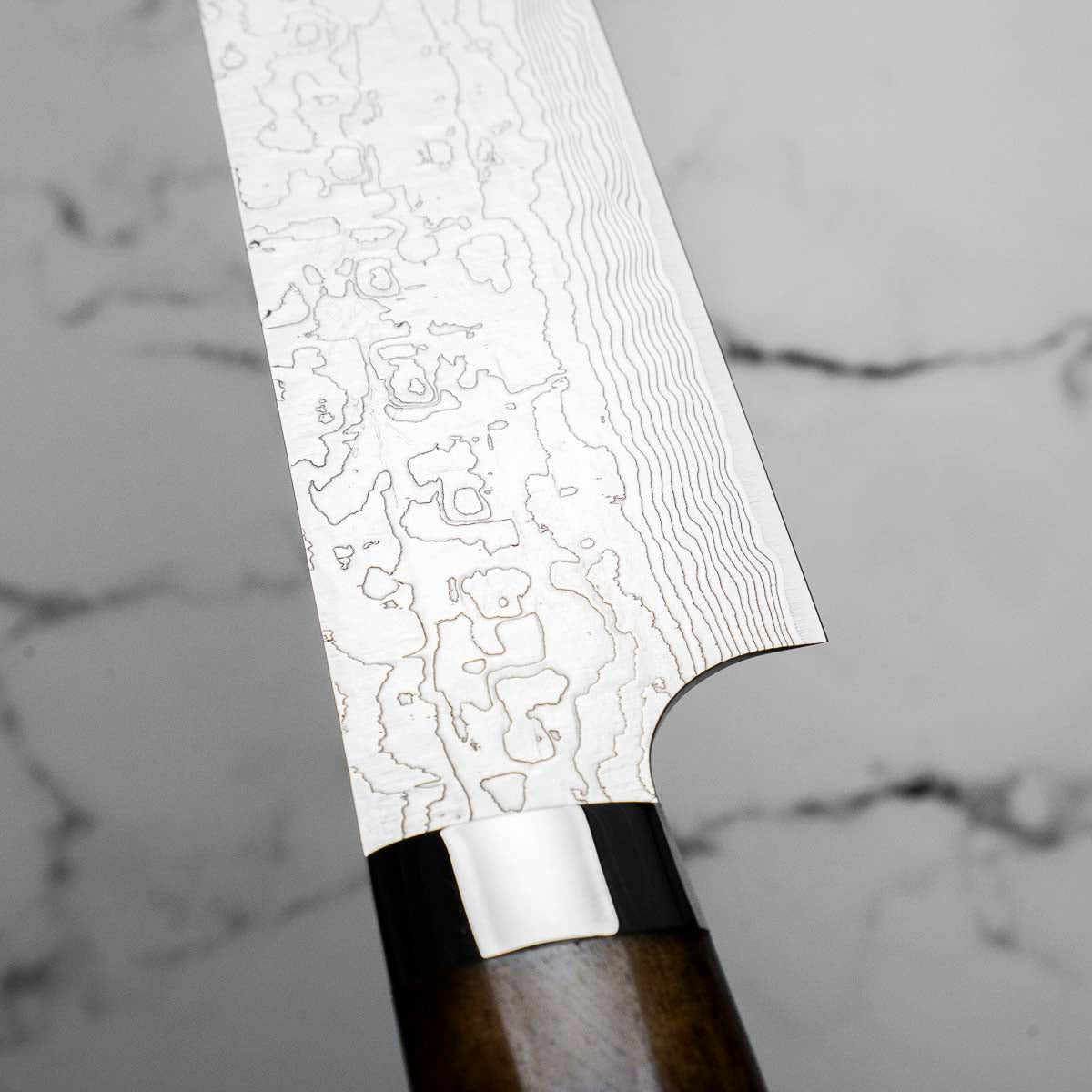 Takeshi Saji R2/SG2 Damascus Sakimaru Sujihiki 240mm Silver BCW