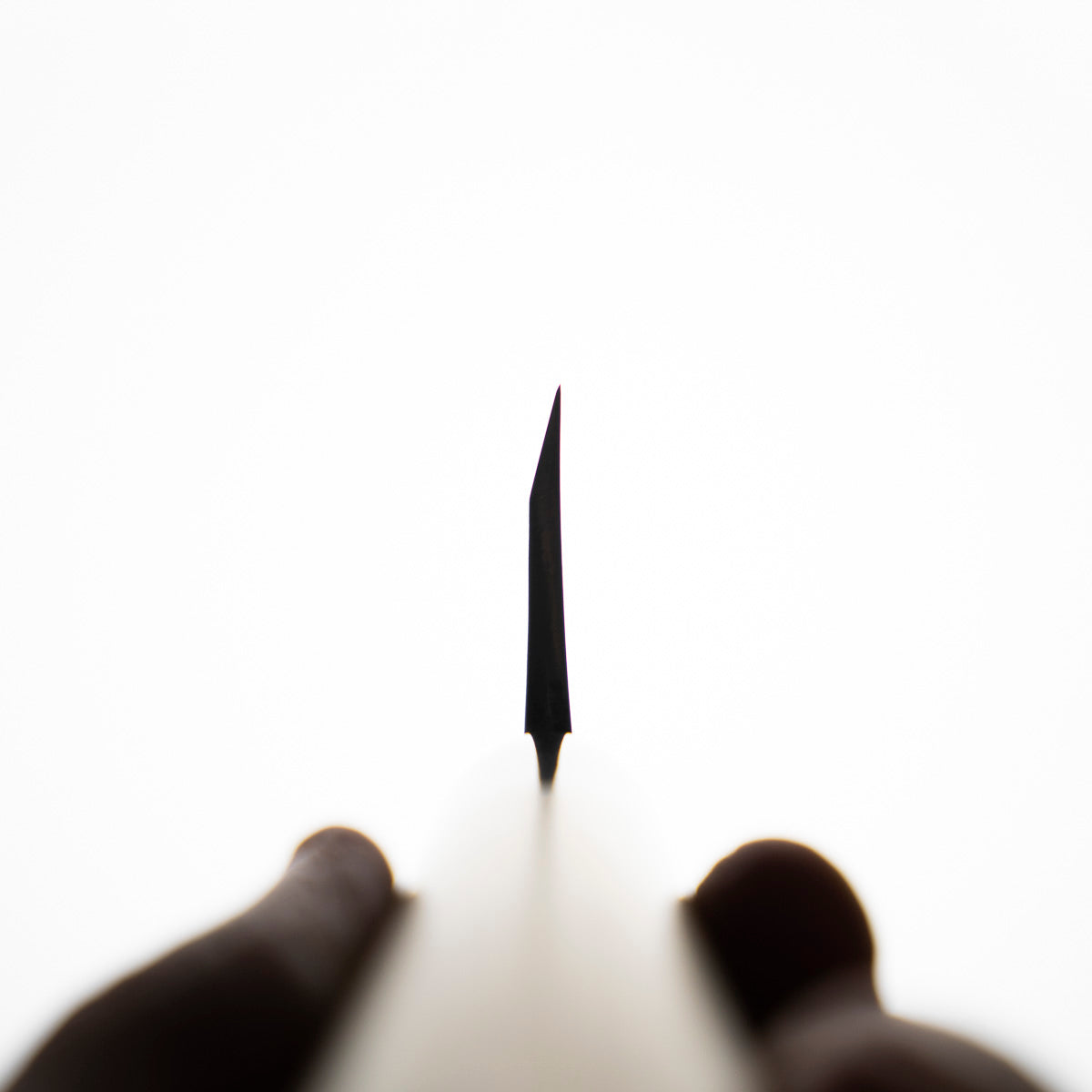 Sakai Kikumori Shironiko Deba 165mm - Magnolia and Black Horn