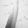 Katsushige Anryu Blue Super Gyuto 210mm