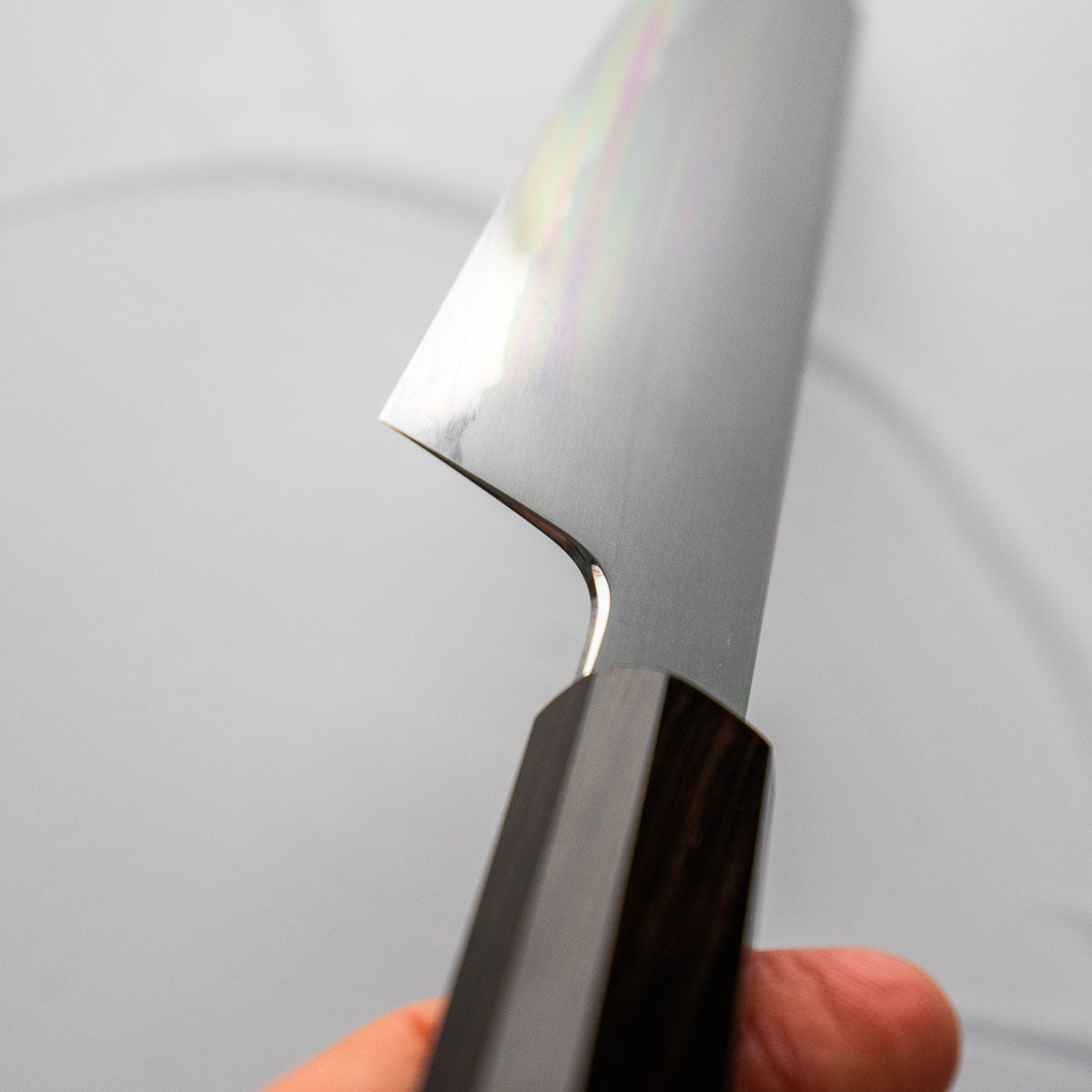 Tetsujin Hamono Blue 2 Kasumi Kiritsuke 210mm - Ebony