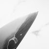 Tetsujin Hamono Ginsan Kasumi Gyuto 210mm - Persimmon