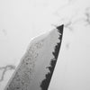 Hatsukokoro Ryusui Blue 2 Damascus Kiritsuke Gyuto 240mm - Ebony