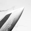 Hatsukokoro Yorokobi SP Kurouchi Damascus SLD Kiritsuke 210mm