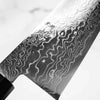 Hatsukokoro Ryuhyo Migaki SG2 Damascus Gyuto 240mm - Ebony