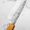 Tsunehisa SLD Washiji Santoku 165mm
