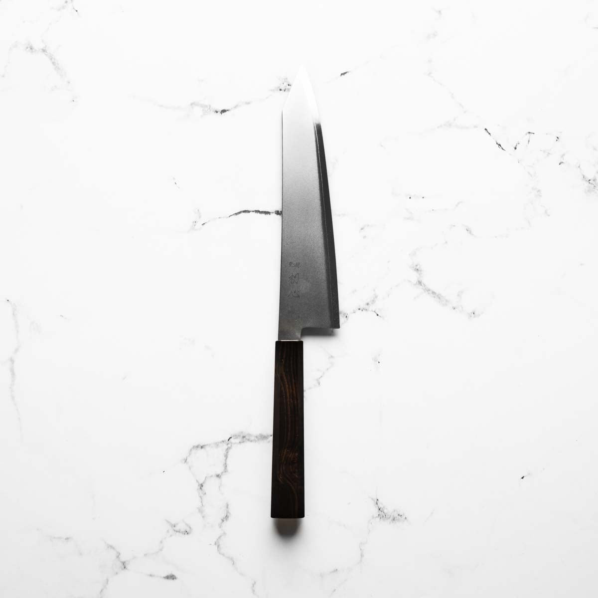Hatsukokoro Kaijin Blue 2 Stainless Clad Kiritsuke Gyuto 210mm - Ebony