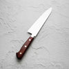 Takamura Migaki SG2 Gyuto 210mm