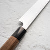 Sakai Kikumori Tomoshibi Yanagiba 240mm - angled view