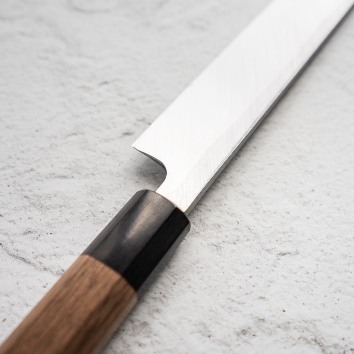 Sakai Kikumori Tomoshibi Yanagiba 240mm - angled view